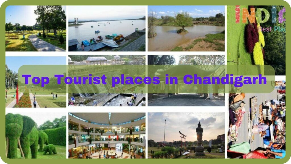 Top Tourist places in Chandigarh